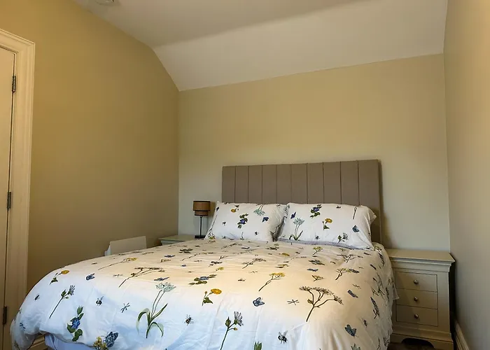 Adams Complex Daire *